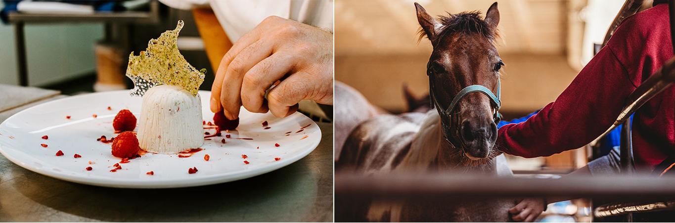 拼贴画展示了一匹马和一个人在摆甜点